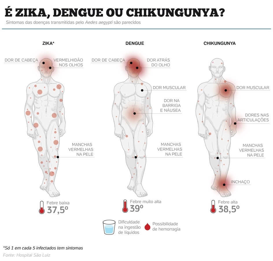 conhecas as diferencas entre zika dengue e chikungunya 1458087301530 944x903